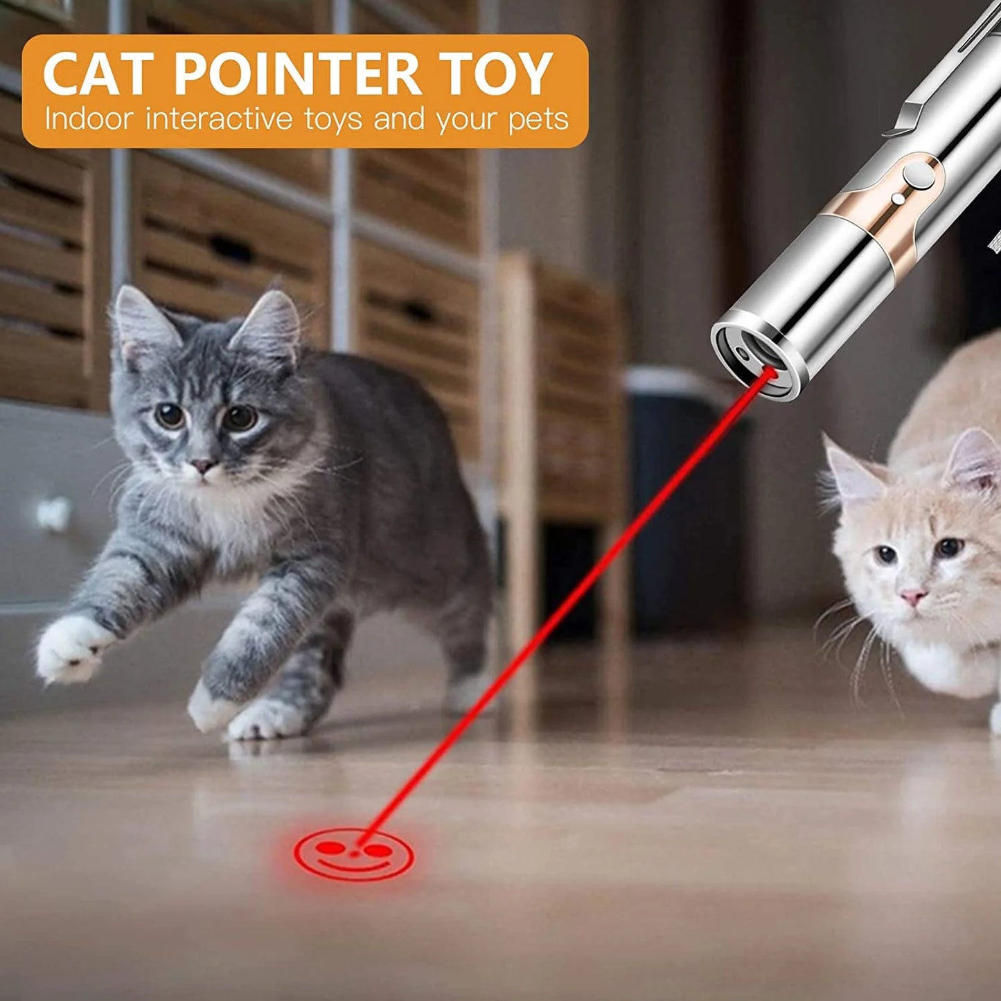Rechargeable Interactive Cat Laser Pointer Toy with Mouse Toy - Silver