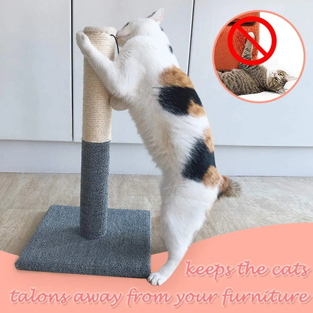 20-Inch Cat Scratching Post with Sisal Toy Board and Pad for Indoor Cats
