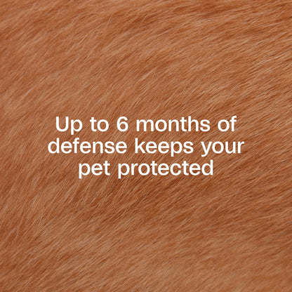 Flea and Tick Collar Plus for Dogs and Puppies - 12 Months of Protection Against Flea Infestations, Kills Fleas and Ticks, Repels Mosquitoes for Up to 6 Months (Excludes California), One Size Fits All, 2 Count