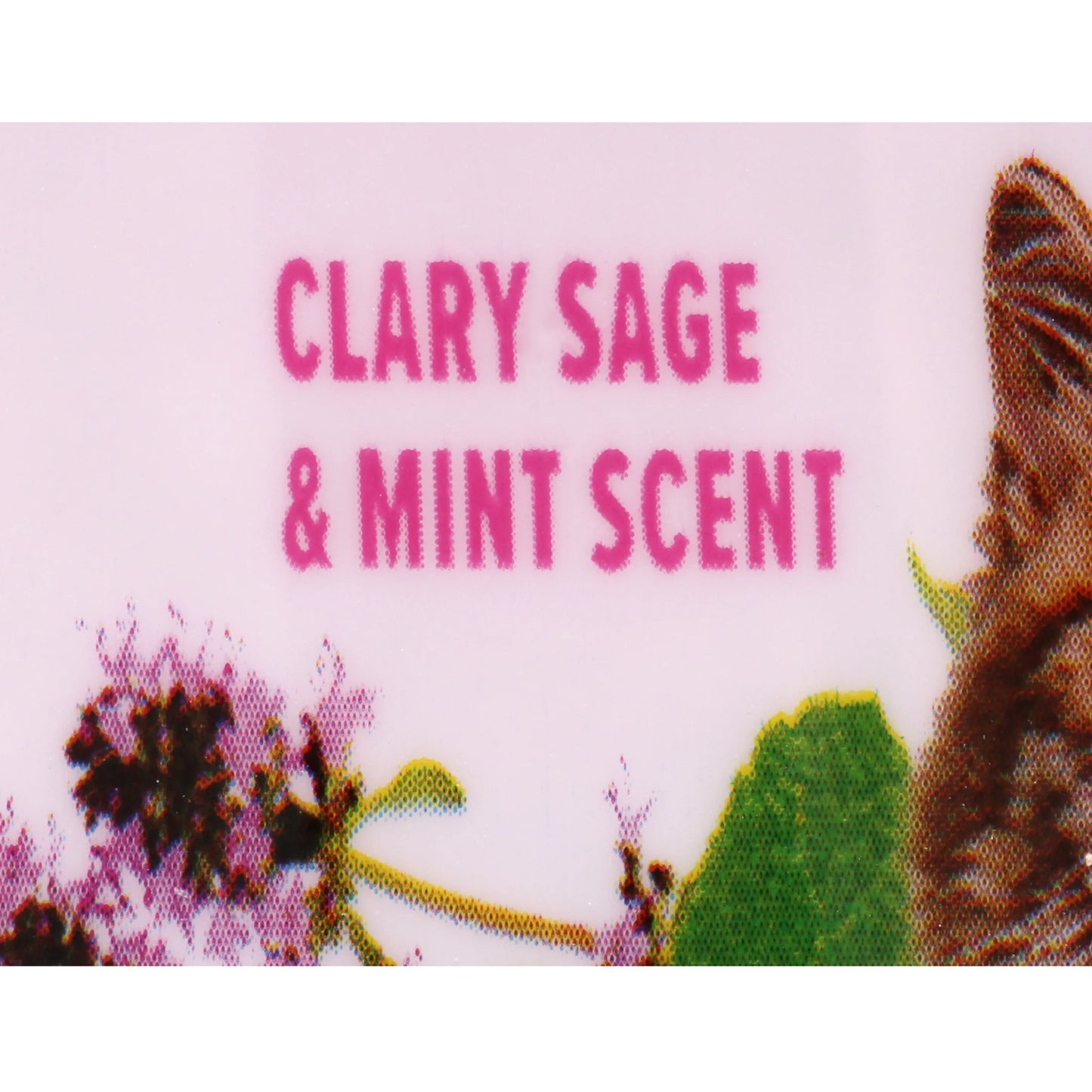 Deodorizing Cat Litter Crystals (2 Pack) with Clary Sage & Mint Scent, 15 Oz